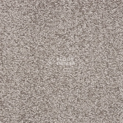 Ковролин Bonkeel Parliament Greige фото 1 | FLOORDEALER